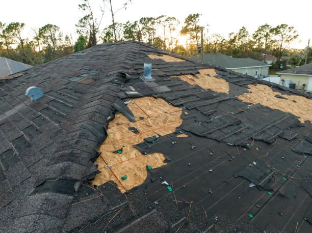 Best Roof Insulation Installation  in Dublin, TX